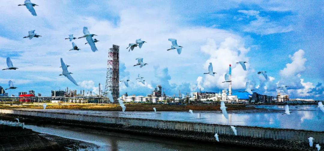 重磅!中国石化2021年宣传片正式发布!