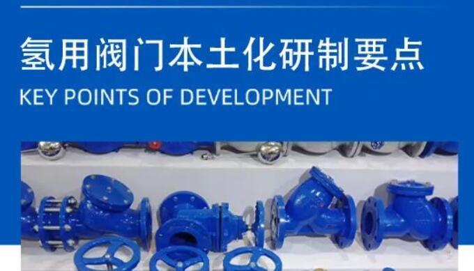 氢用阀门本土化研制要点