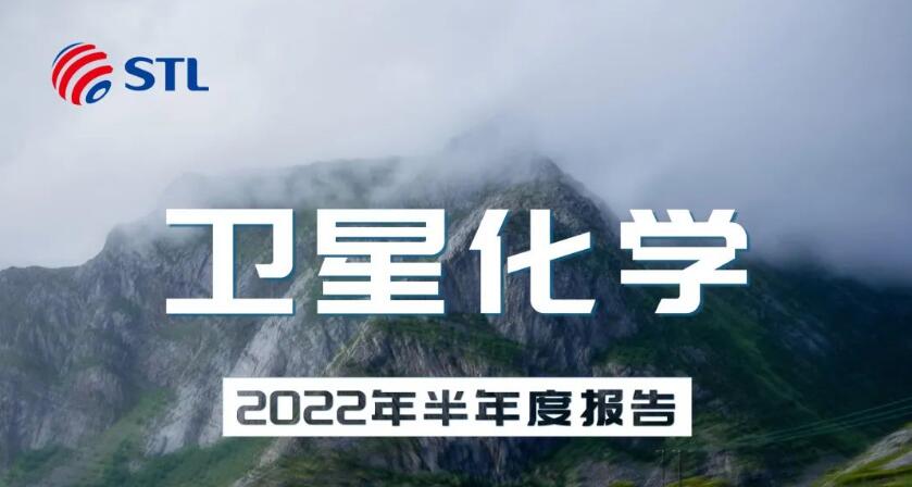 一图看懂卫星化学2022年半年度报告