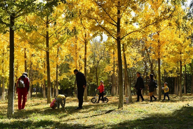 չǿ桪Эչܽйķչ¿ռ