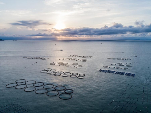 չǿ桪Эչܽйķչ¿ռ