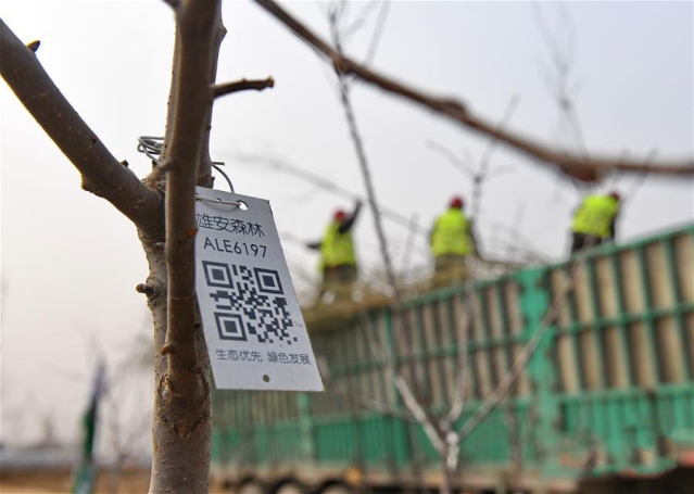 չǿ桪Эչܽйķչ¿ռ