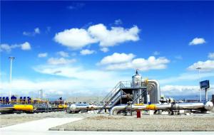 刚刚,国家管网公司挂牌成立!独家解读来了→