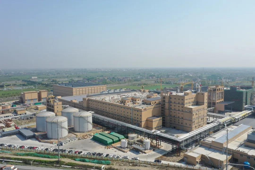 1586471474886368.jpg 1586471474886368.jpg