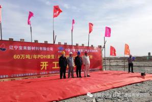 辽宁宝来60万吨/年PDH装置(A5)标段举行开工仪式