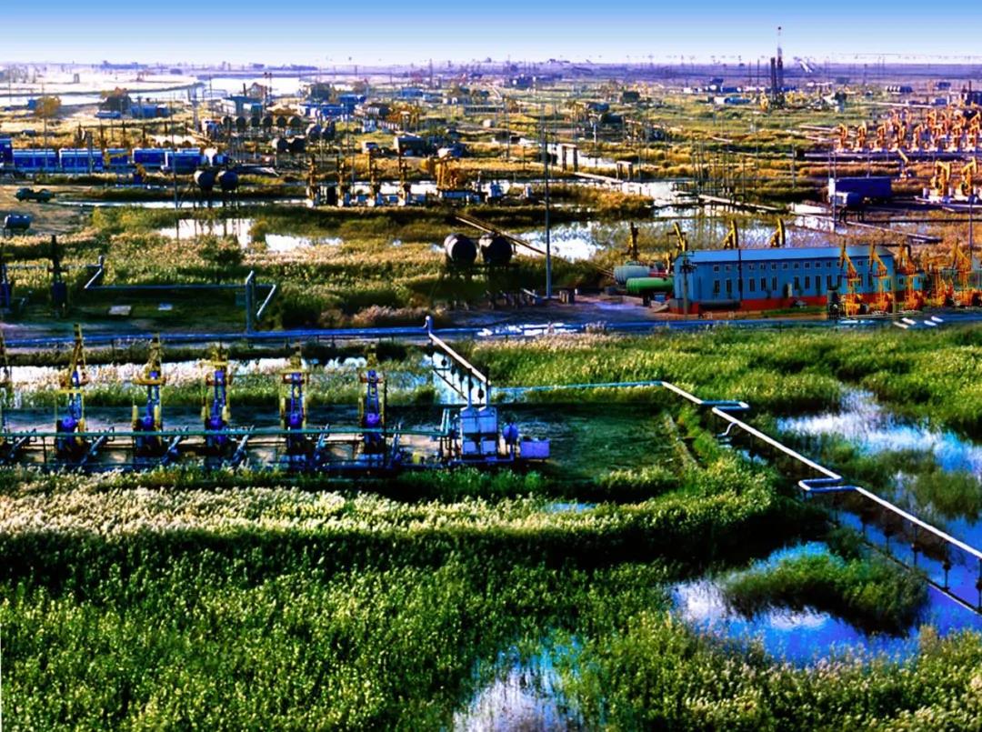 国内首次!辽河将对超稠油油藏大规模实施蒸汽驱开发 国内首次!辽河将对超稠油油藏大规模实施蒸汽驱开发