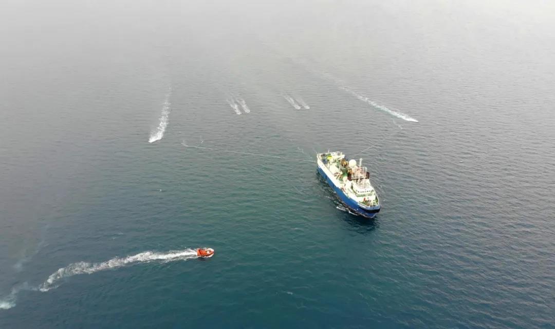 大单!这家石油企业拿下全球最大三维过渡带项目! 大单!这家石油企业拿下全球最大三维过渡带项目!