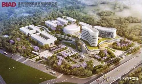 海外丨外长新年首访的这5个非洲国家,有哪些合作项目? 海外丨外长新年首访的这5个非洲国家,有哪些合作项目?