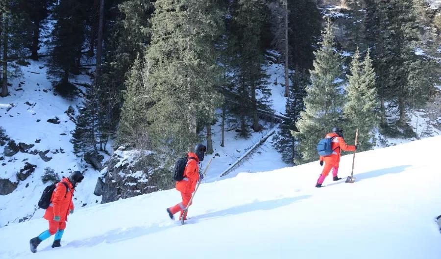 严寒里的暖流 严寒里的暖流