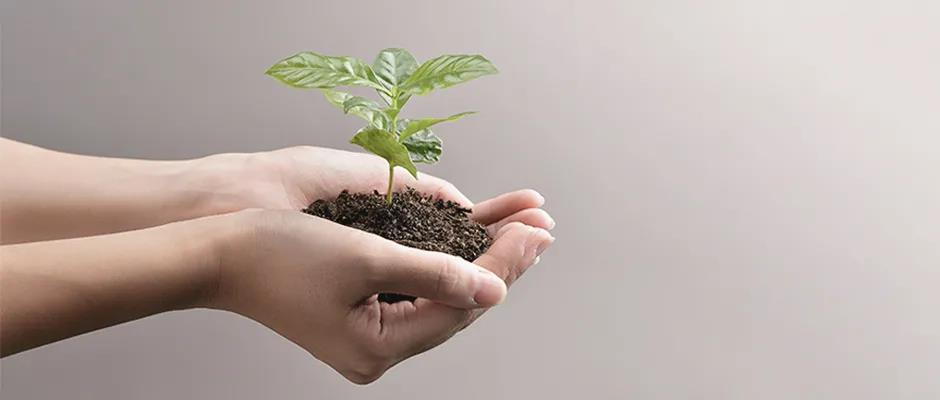 双碳目标下,石化行业如何把握投资机遇 双碳目标下,石化行业如何把握投资机遇