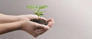 双碳目标下,石化行业如何把握投资机遇