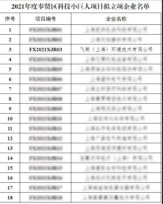 飞潮环境喜提“科技小巨人”成就 飞潮环境喜提“科技小巨人”成就