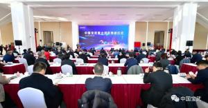 中国宝武推进重大项目建设:见证开疆拓土、创新超越加速度,共绘世界一流伟大企业壮丽蓝图