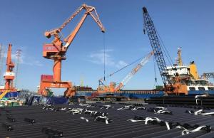 执着奔赴,真诚服务,赢得客户信任