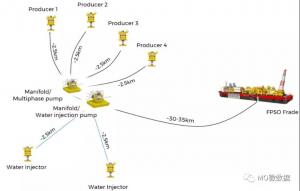 8亿美元!巴西石油公司PetroRia全力开发Wahool油田