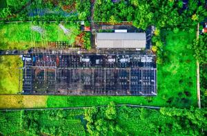 从原料到产品,欧美15家生物基材料领先企业盘点!