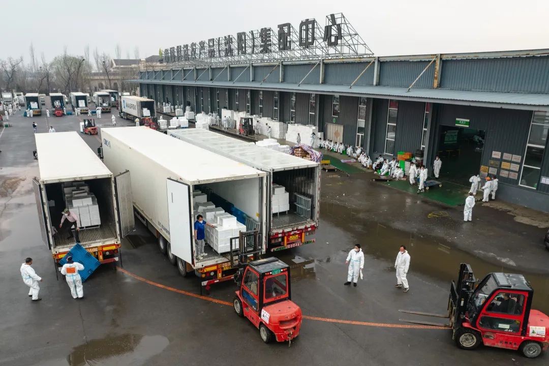 货车难下高速?最新要求:足量发证!核酸结果互认! 货车难下高速?最新要求:足量发证!核酸结果互认!