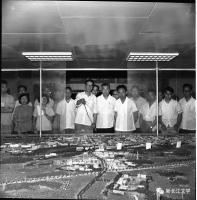 是改革开放催生了扬子乙烯(上)||江苏南京 龚仕文