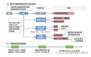 日本零碳氨进口规模将高达100万吨!“氨能社会”或将早于“氢能社会”实现
