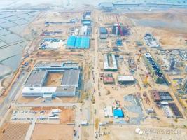 “巨型金刚”起立!东华能源(茂名)项目大型设备吊装首战告捷