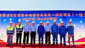 迎重要节点!裕龙石化ABS项目开工