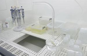 您尽可仰望星空,我负责微观洞察,揭秘飞潮测控中心