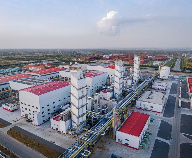 ½˾úֻѧĿȫнͶԳһγɹ