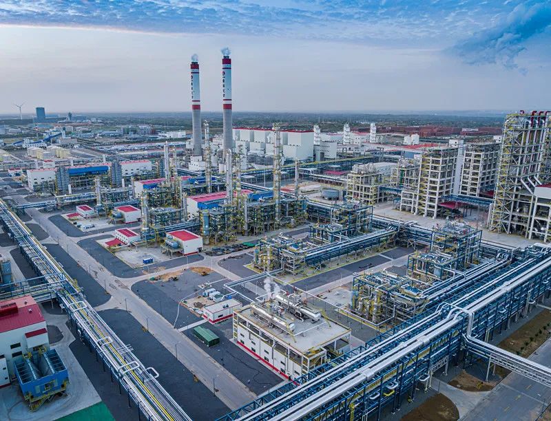 ½˾úֻѧĿȫнͶԳһγɹ