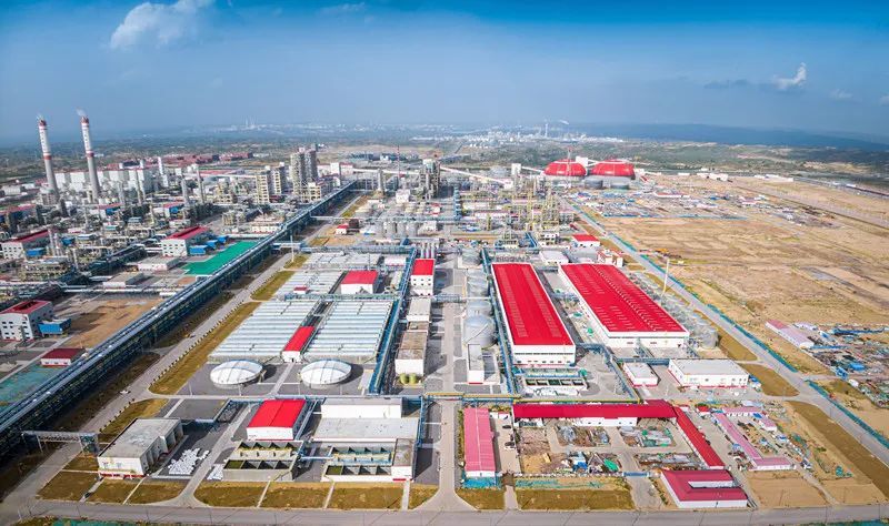 ½˾úֻѧĿȫнͶԳһγɹ