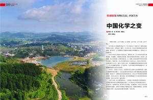 中国化学之变(上篇)