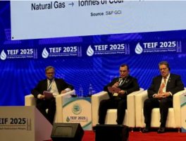 TEIF 2025开幕,土能源部部长提出哪些投资方向?